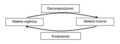 ciclo da matéria